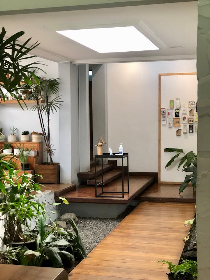 green-potted-plant-on-brown-wooden-table-11851378 Stylish entryway with natural light and green decor, perfect for modern interior design inspiration.